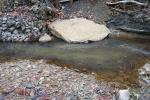 <img150*0:stuff/z/93740/Stone%2520Coal%2520Creek/oct%20321.jpg>