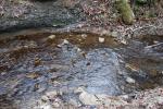 <img150*0:stuff/z/93740/Stone%2520Coal%2520Creek/oct%20322.jpg>