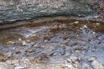 <img150*0:stuff/z/93740/Stone%2520Coal%2520Creek/oct%20323.jpg>