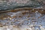<img150*0:stuff/z/93740/Stone%2520Coal%2520Creek/oct%20324.jpg>