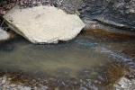 <img150*0:stuff/z/93740/Stone%2520Coal%2520Creek/oct%20327.jpg>