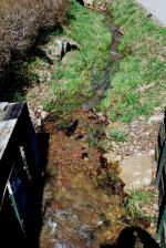 <img150*0:stuff/z/93740/Stone%2520Coal%2520Creek/oct%20331.jpg>