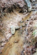 <img150*0:stuff/z/93740/Stone%2520Coal%2520Creek/oct%20705.jpg>