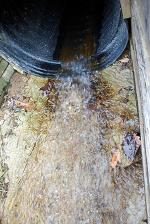 <img150*0:stuff/z/93740/Stone%2520Coal%2520Creek/oct%20706.jpg>