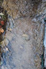 <img150*0:stuff/z/93740/Stone%2520Coal%2520Creek/oct%20707.jpg>