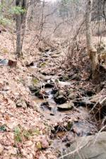 <img150*0:stuff/z/93740/Stone%2520Coal%2520Creek/oct%20710.jpg>