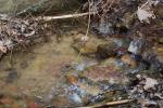 <img150*0:stuff/z/93740/Stone%2520Coal%2520Creek/oct%20759.jpg>