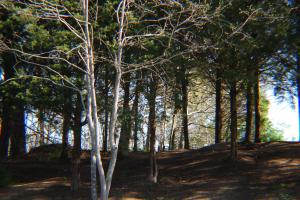 <img300*0:stuff/z/93740/The%2520city%2520that%2520moves%2520mountains/DSC_0342.JPG>