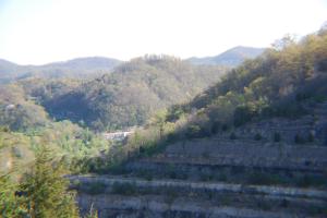 <img300*0:stuff/z/93740/The%2520city%2520that%2520moves%2520mountains/DSC_0350.JPG>