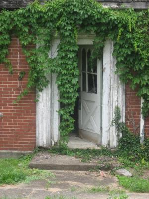 <img300*0:stuff/z/93740/Wheelright/wh10.jpg>