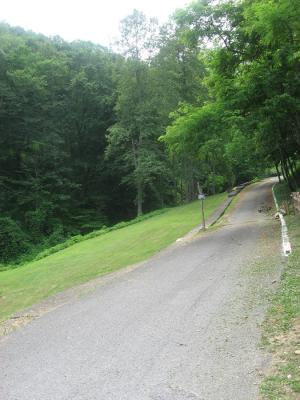 <img300*0:stuff/z/93740/Wheelright/wh19.jpg>