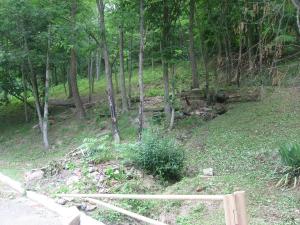 <img300*0:stuff/z/93740/Wheelright/wh20.jpg>