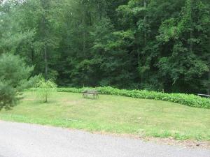 <img300*0:stuff/z/93740/Wheelright/wh21.jpg>