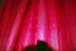 <img150*0:stuff/z/93740/lothuriel%2527s%2520red%2520ref/i1238108485_3.jpg>