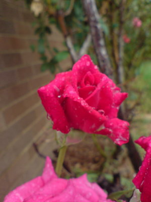 <img300*0:stuff/z/97726/V53%2520random%2520pics/i1240986211_4.png>
