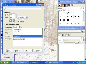<img300*0:stuff/zab.gimp.tut.01.jpg>