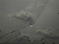 <img200*0:stuff/zabphoto3sky.jpg>