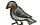 <img:stuff/zebrafinch%20copy.gif>