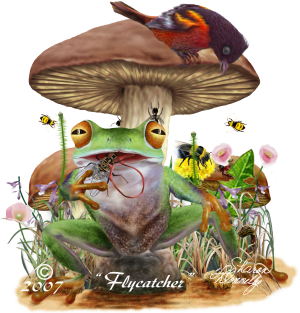 <img300*0:stuff/©Flycatcher_SharonDonnelly.png>