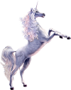 <img:stuff/©LightningShimmer_Artsie_ladie100_rev.png>